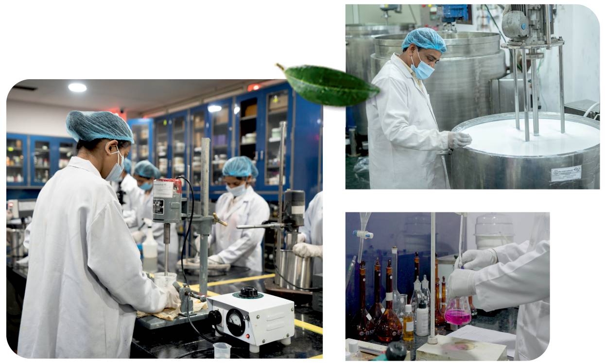 custom devlop img (1)